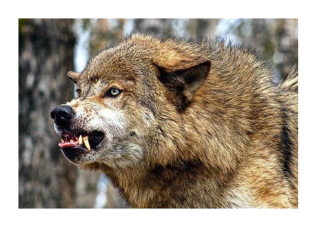 It's FRIIIDDDAAAYYY!!!!