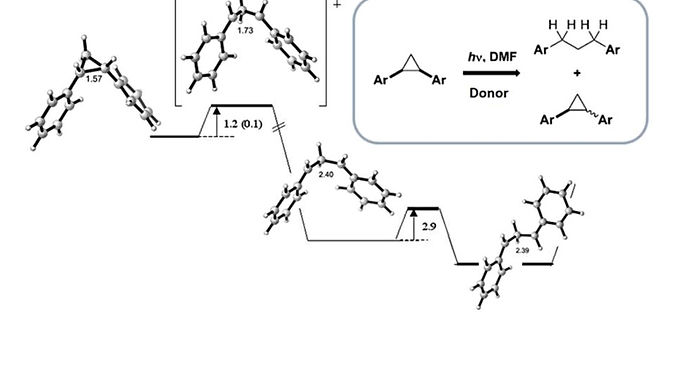 <p class="font_8"><strong>Electron Transfer to Benzenes by Photoactivated Neutral Organic Electron Donors</strong></p>