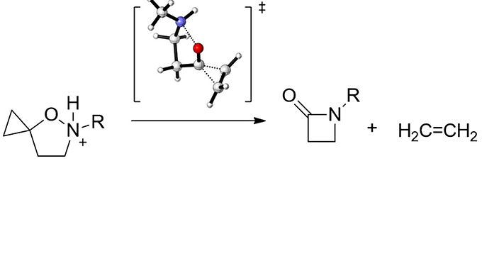 <p class="font_8"><strong>Mechanistic Insight into the Spirocyclopropane Isoxazolidine Ring Contraction</strong></p>