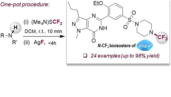 <p class="font_8"><strong>Efficient Synthesis of Trifluoromethyl Amines (</strong><em><strong>N</strong></em><strong>-CF₃) via a Formal Umpolung Strategy from the Bench-Stable Precursor (Me₄N)SCF₃</strong></p>