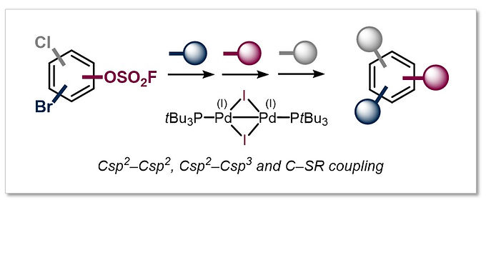 <p class="font_8"><strong>Site-Selective, Modular Diversification of Polyhalogenated Aryl Fluorosulfates (ArOSO₂F) enabled by an Air-Stable Pd(I) Dimer</strong></p>