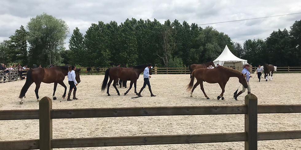 Seminar Horseman Science Andy Booth