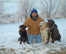 lab pups in iowa for sale