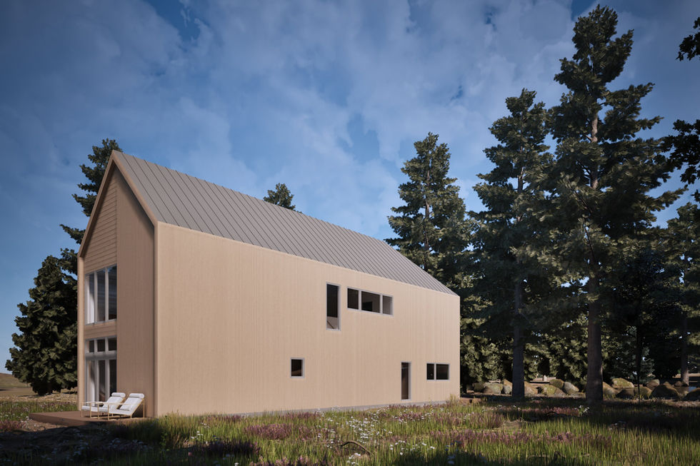 Rear perspective of a modern cabin with horizontal and vertical wood siding and a metal roof.