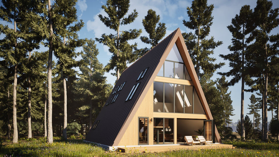 Modern A-frame cabin with a metal roof, numerous skylights, and a nearly full wall of glazing in a sunny forest setting.