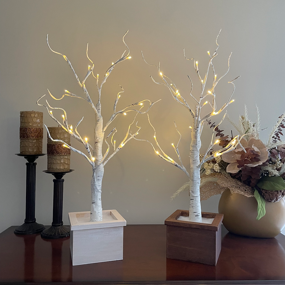 Lighted 2FT Birch Tree With Handmade Wood Base