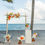 Thumbnail: Wedding Decoration Pack – “Tropical”