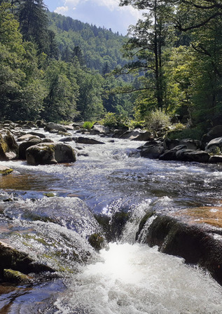 Schönmünzach bei Baiersbronn im Schwarzwald
