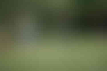 Photo Credit: PDGA