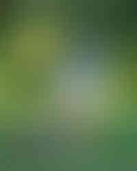 Anthony Barela celebrating his win at Des Moines Challenge 