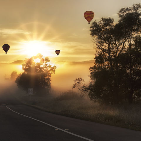 Boise hot air balloons in the fog and sunrise.