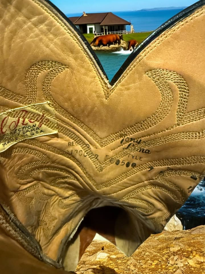 Thumbnail: Tony Lama El Rey Collection Black Bias-Cut American Gator Belly Sz 9-B 852