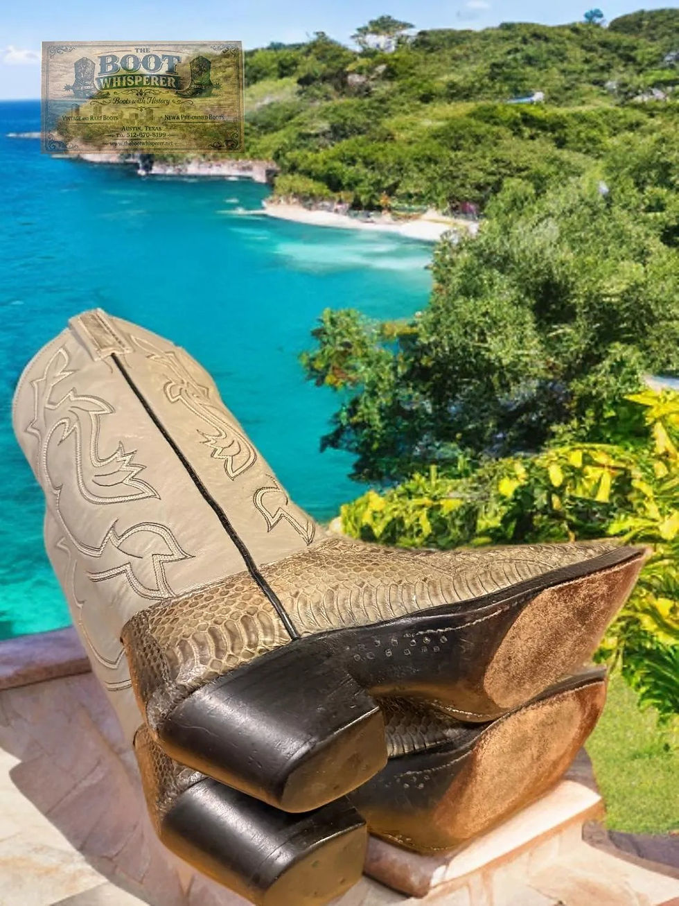 Thumbnail: Dan Post 1984 Ladies Grey Anaconda Python Snake Size 6-A Very Nice 1172-4984