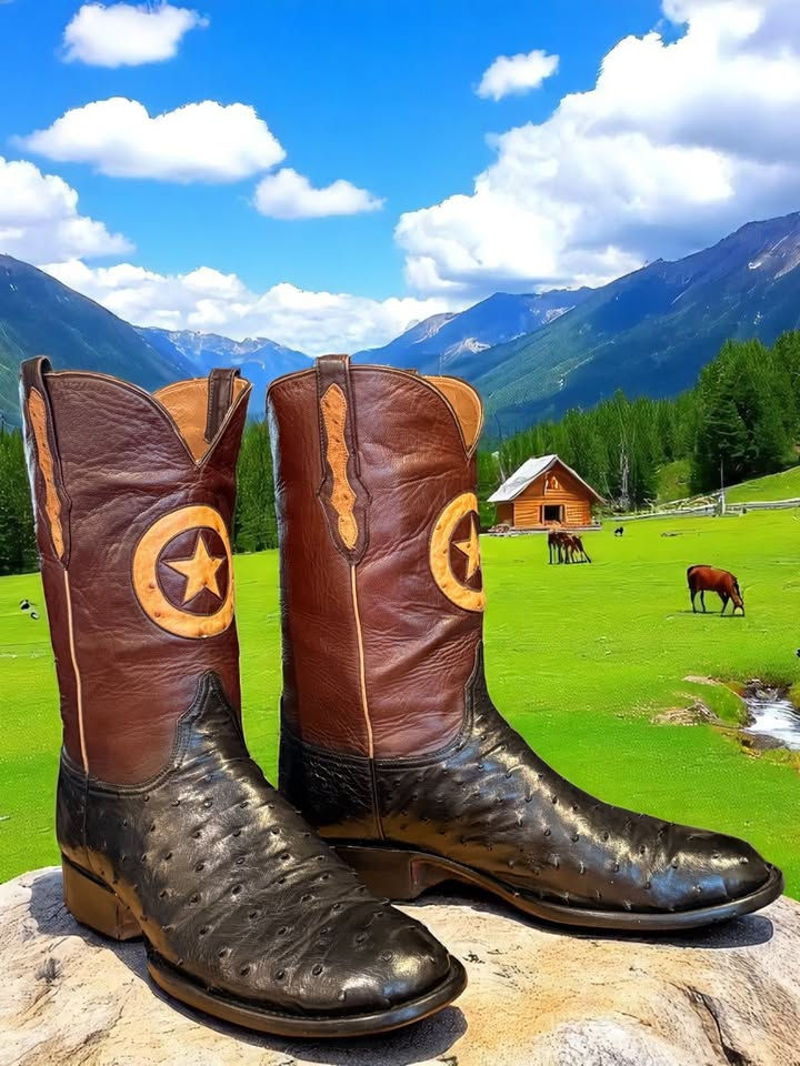 Thumbnail: Black Jack Exotic Black Full Quill Ostrich B208 w/ TX Star 13-D 699-31743