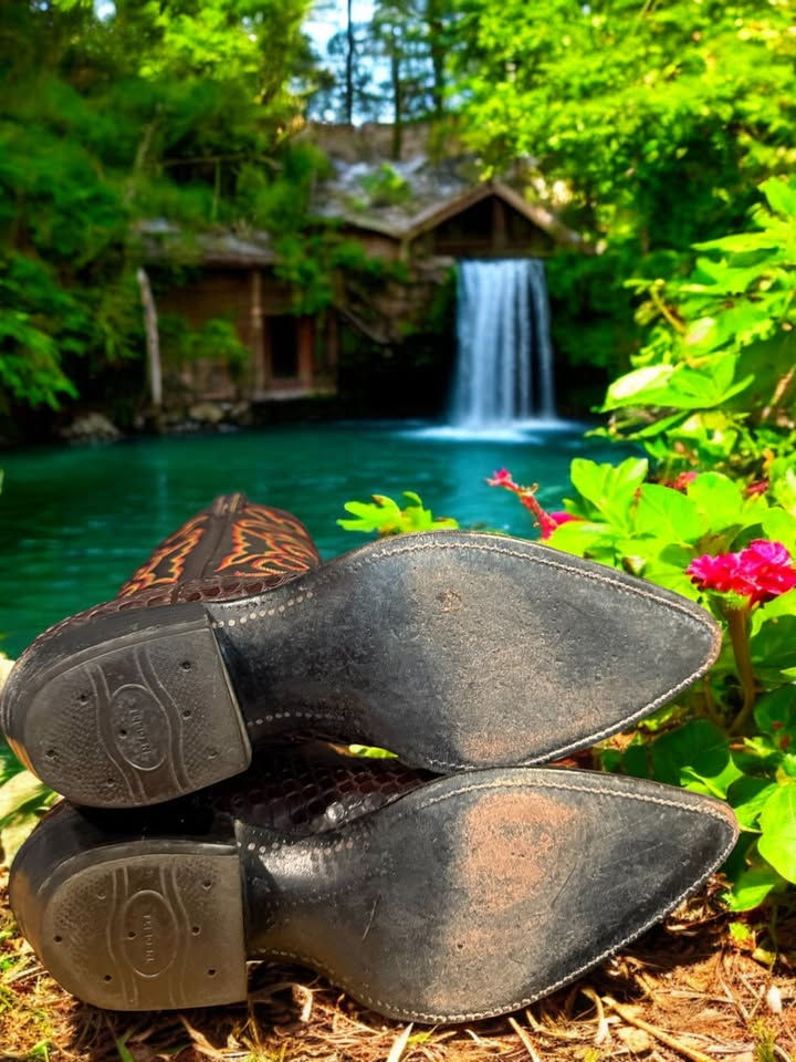 Thumbnail: Tony Lama Gold Label 1974 Chocolate Anaconda 3000J4 Size 8.5-D WOW! 830-24374