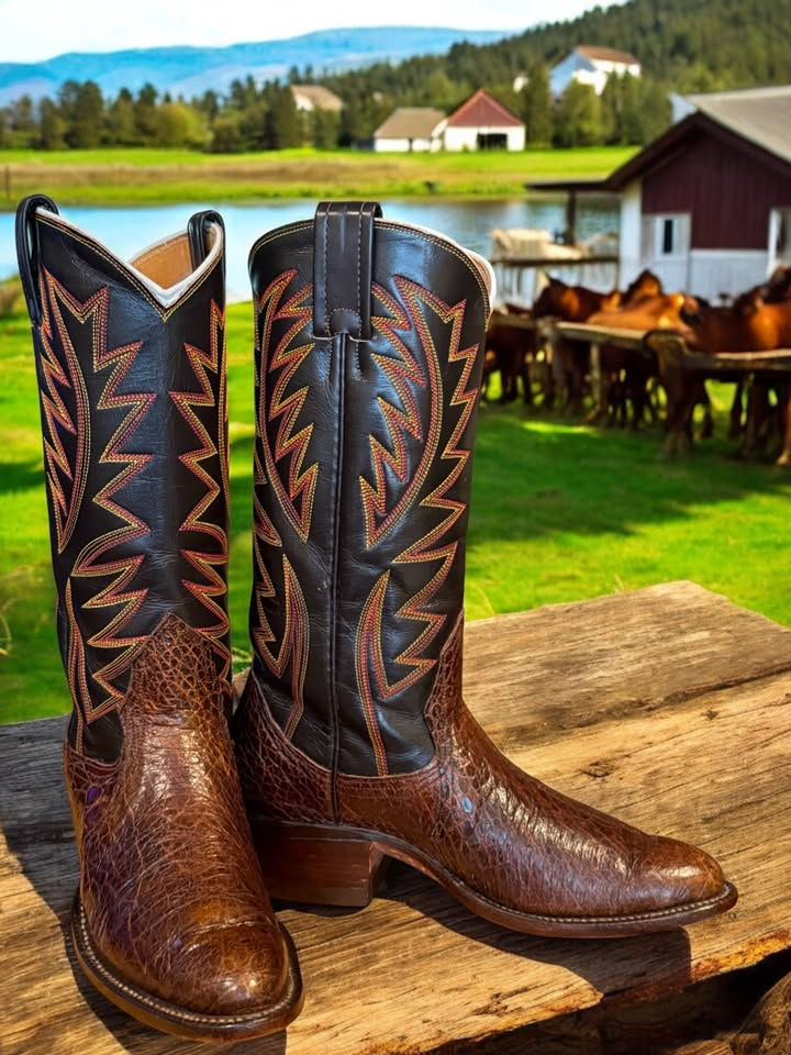 Thumbnail: Nocona Vintage Brown PRE-BAN Exotic Sea Turtle J3964 Size 6.5-B 854-23424