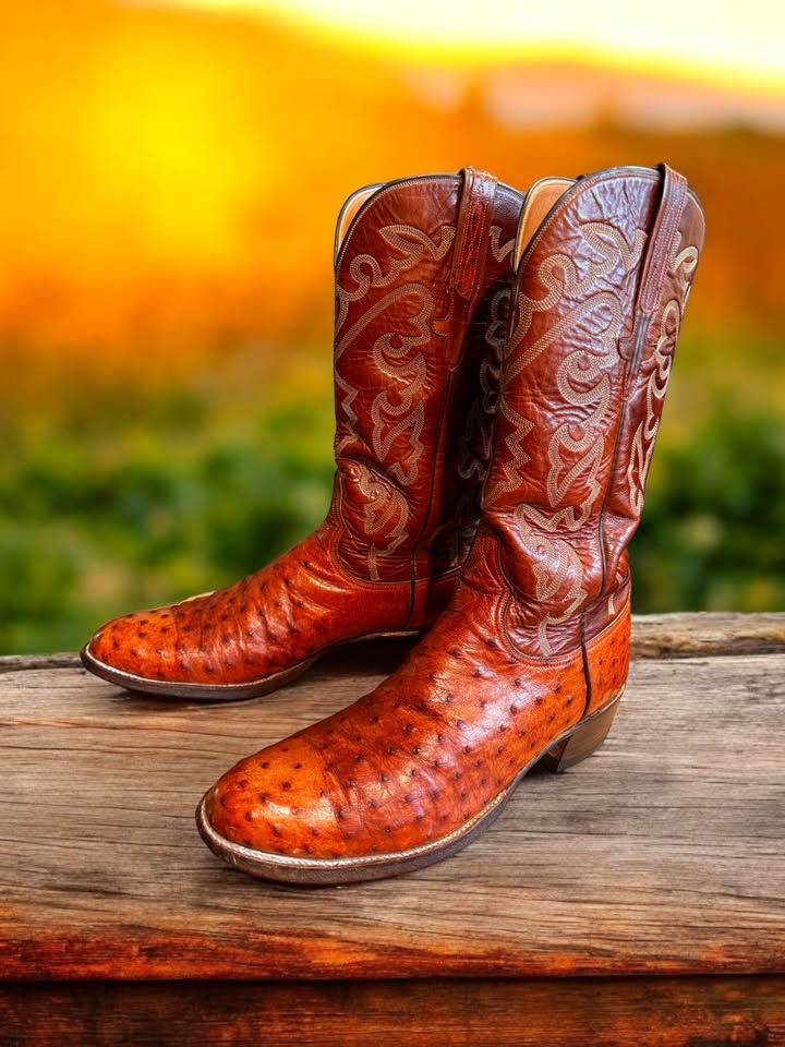 Thumbnail: Lucchese San Antonio 83 Full Quill Exotic Ostrich 10-B 6329CN EXCELLENT 78-21679