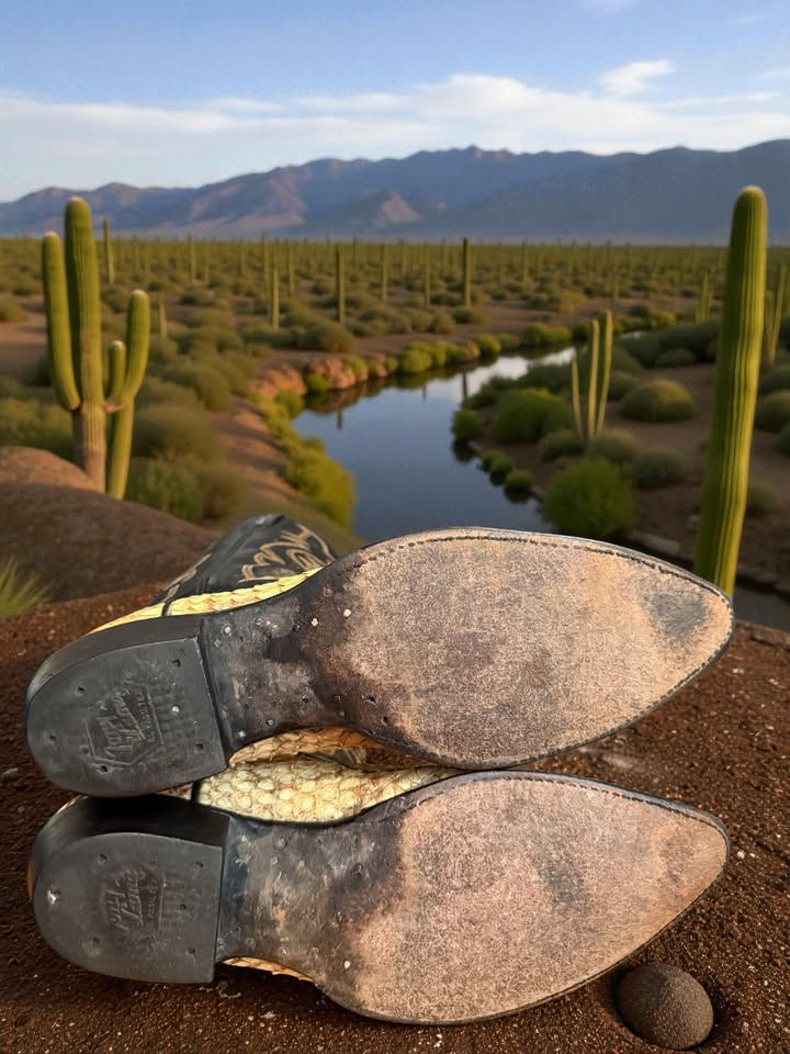 Thumbnail: Tony Lama USA Exotic Western Diamondback Rattlesnake 8881 Size 10.5-D 1007-29500