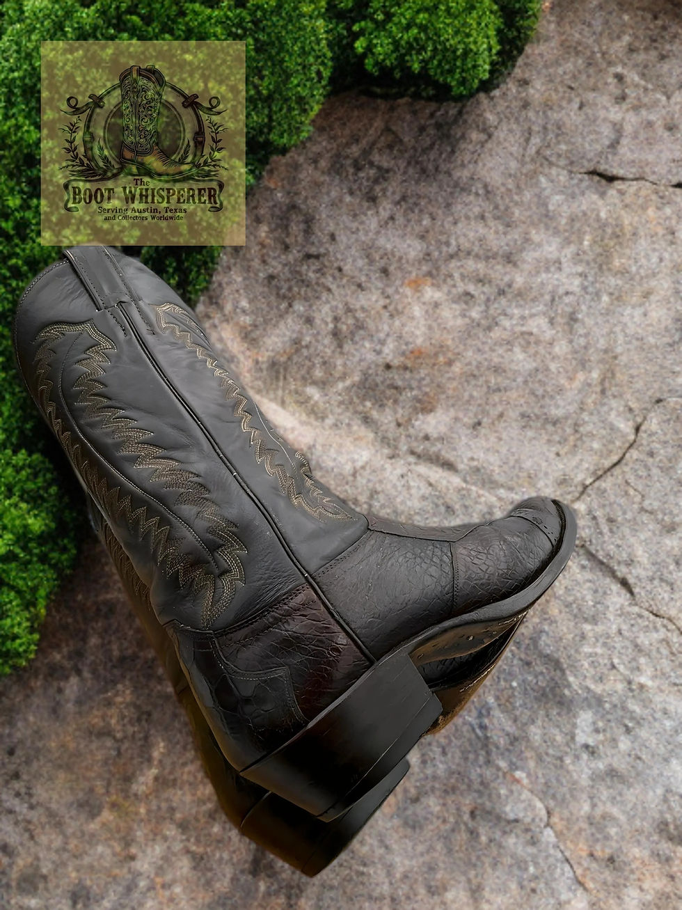 Thumbnail: Justin Boots Pre-Ban Chocolate Sea Turtle Style P7304 Size 10-D WOW! 1095-40000