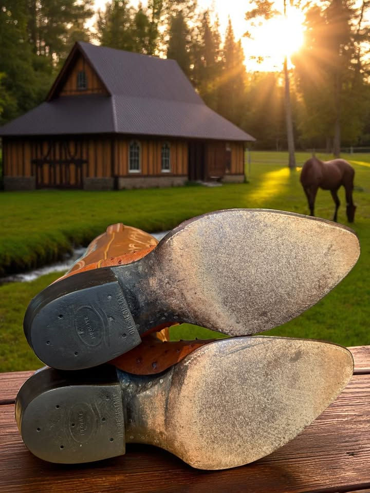 Thumbnail: Tony Lama GOLD LABEL VINTAGE Carmel Full Quill Ostrich 9.5-D AWESOME! 769-13181