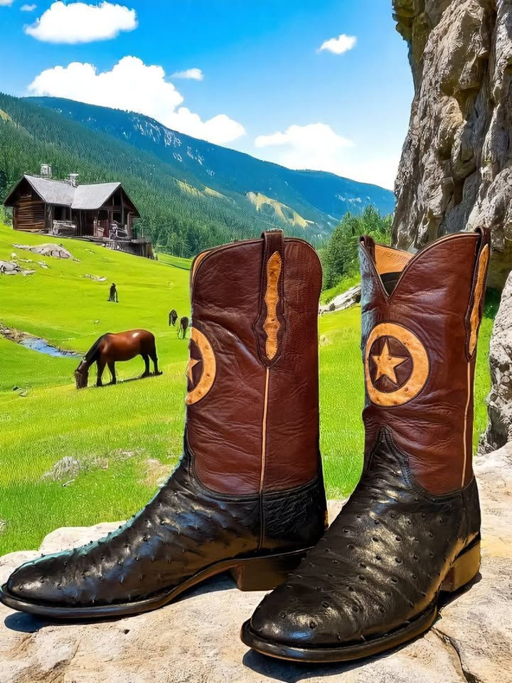 Thumbnail: Black Jack Exotic Black Full Quill Ostrich B208 w/ TX Star 13-D 699-31743