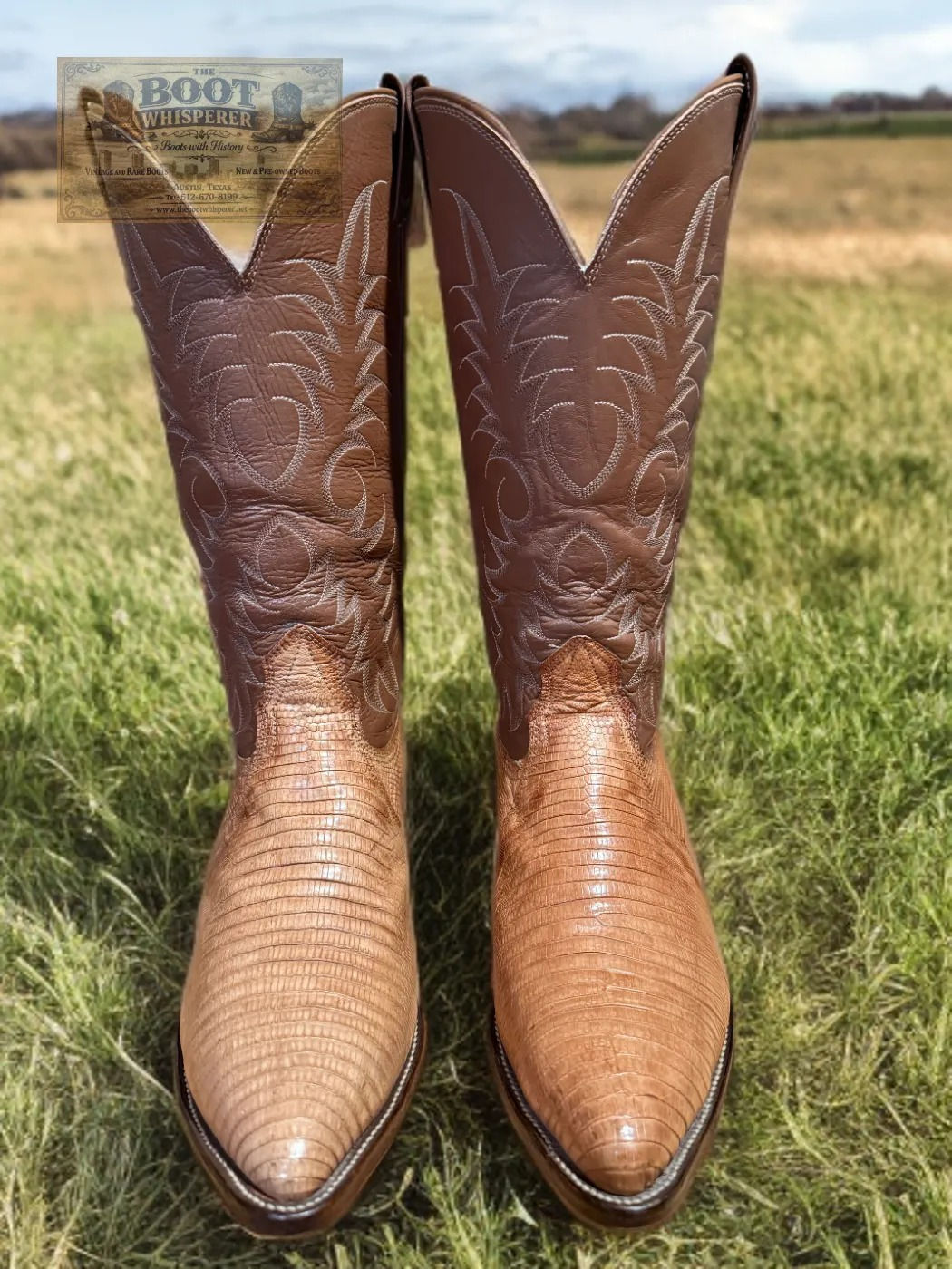 Nocona Boots 1985 Peanut Brittle Teju Lizard 31060 9.5-E Nice Vintage 1537-17531