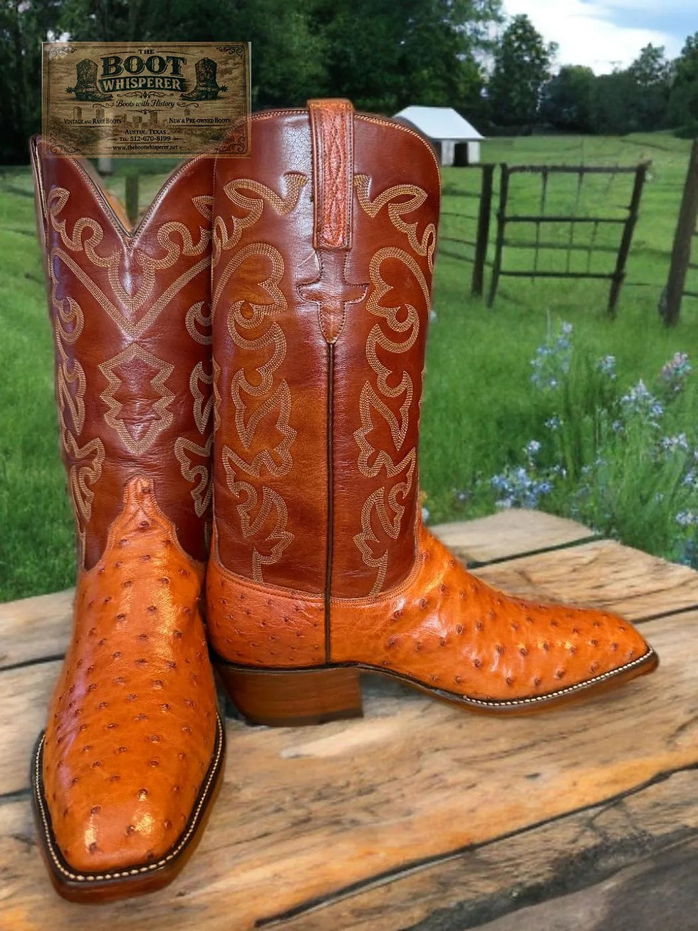 Thumbnail: Lucchese San Antonio '84 Remastered FQ Ostrich Pumpkin 1329CN 12.5-E 1211-71821