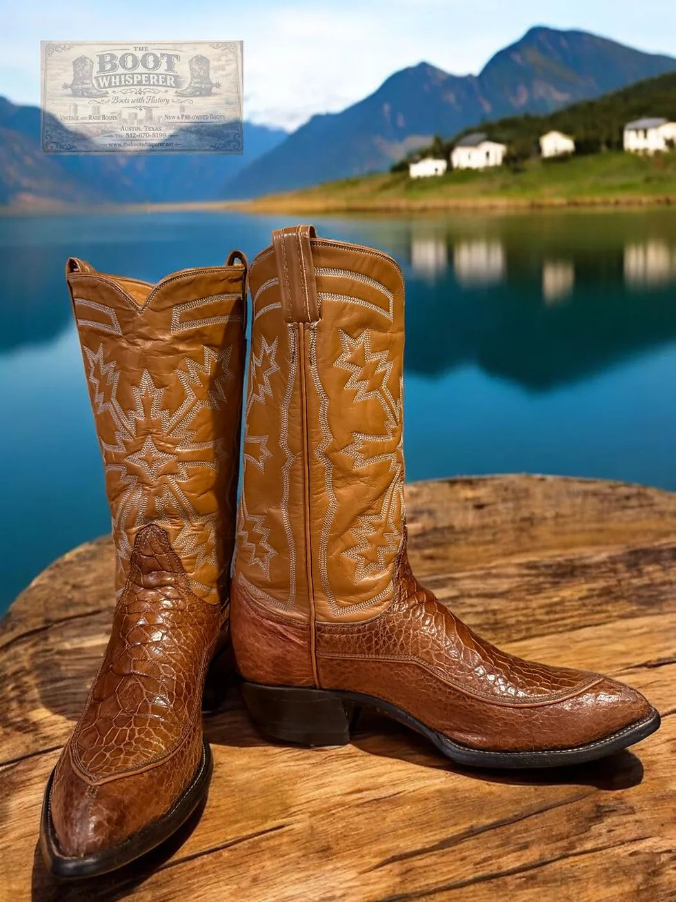 Thumbnail: Tony Lama VTG Gold Label Exotic Pre-Ban Sea Turtle Size 9-D 1161-24500