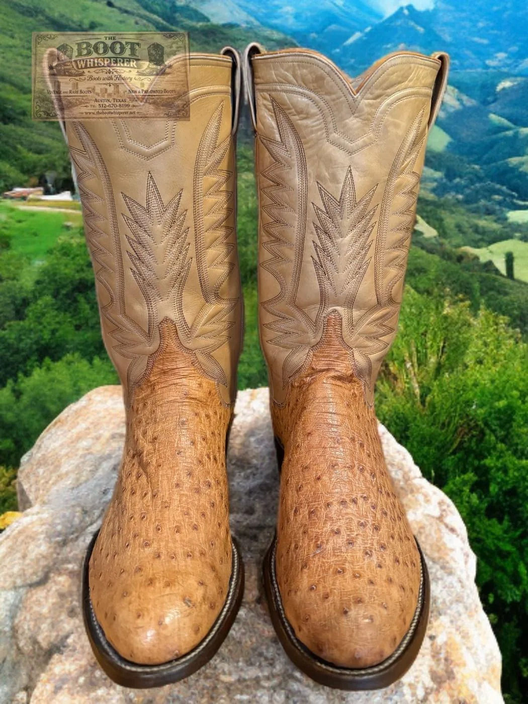 M.L. Leddy Custom Butterscoth Full Quill Ostrich 10-E SOFT! 1255-16489