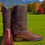 Thumbnail: Lucchese Classics Handmade Black Cherry Caiman Ultra Belly L213463 Sz 13-D