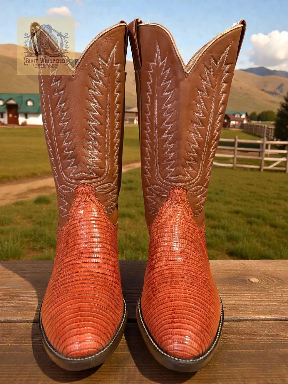 Thumbnail: Cowtown Vintage 1990 W840 Chestnut Tegu Lizard 12-D FANTASTIC! 1080-11390