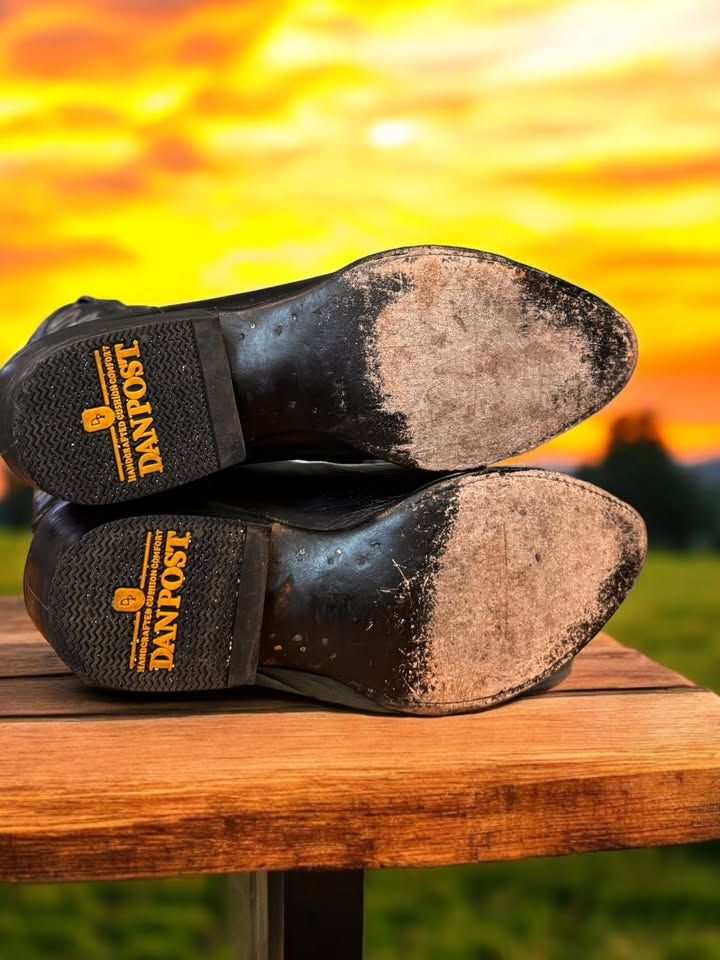 Thumbnail: Dan Post DP2111J Mignon Corona Milwaukee 8.5-EW Boots 54-5346 Stunning!!