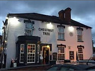 chestnut tree.jpg