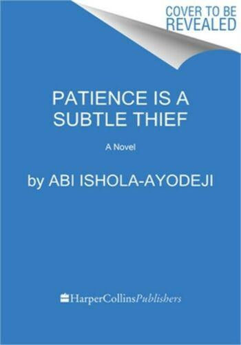Patience Is a Subtle Thief: A Novel by Abi Ishola-Ayodeji