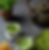 Screenshot 2025-08-07 173532.png