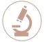 Exame microscópico