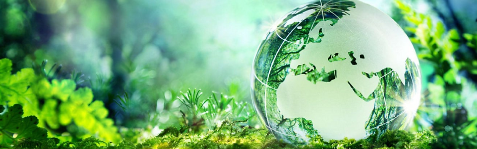 Eco web page header.png