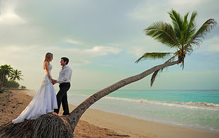 Pareja sobre una palmera inclinada al atardecer durante una sesion trash the dress en Playa Macao Punta Cana Republica Dominicana