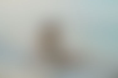 Mujer embarazada en bikini posando en el agua con la mano en el cabello durante una sesión de maternidad en Punta Cana