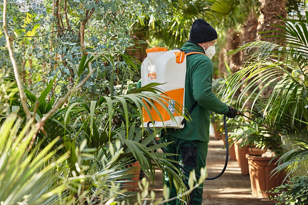 Miniature : Pulvérisateur à batterie dorsal STIHL SGA 85