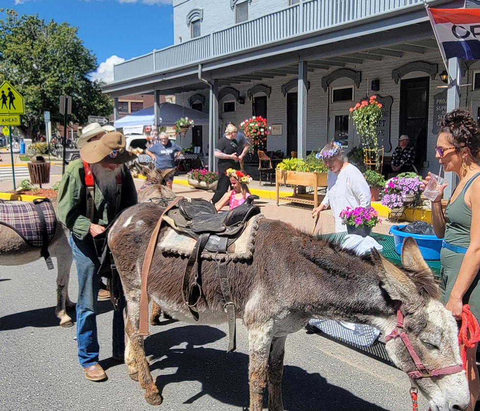 Front of PS Burro.jpeg