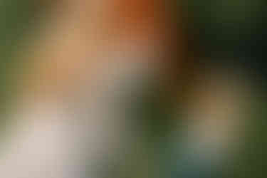 mom pushing son on swing in backyard