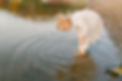 maple grove family photographer