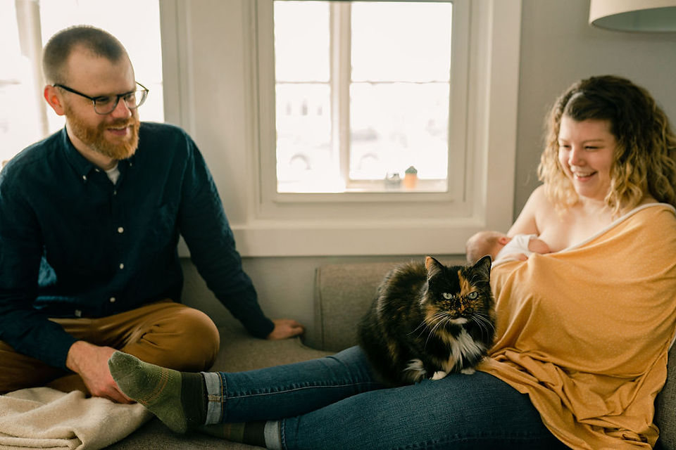 mom nursing newborn baby girl on a couch in the living room as cat lays on her lap