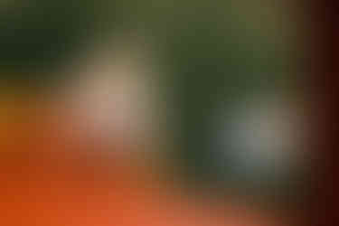 young boy climbing up ladder of backyard swings
