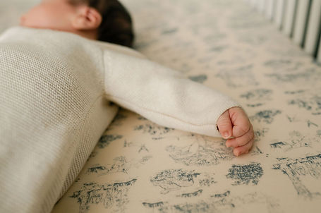 Maple Grove Newborn Photographer
