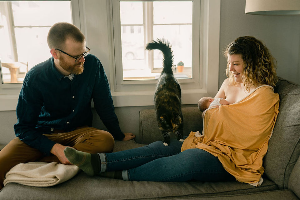 mom nursing newborn baby girl on a couch in the living room as cat steps onto her lap
