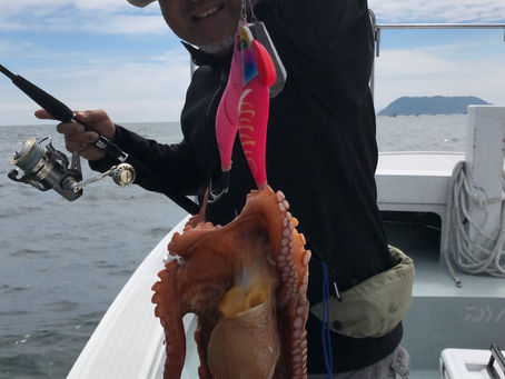 ２０２０・５・３１