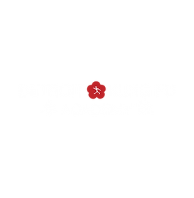 Detroit Kungfu Academy - Berkley