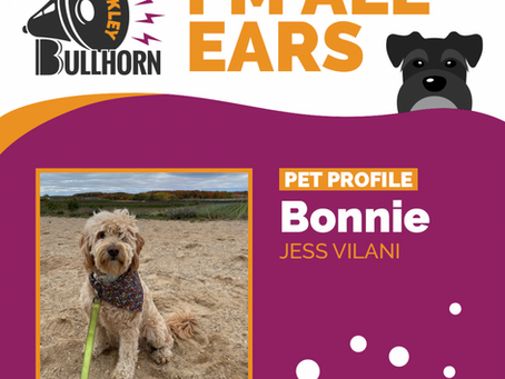 I'm All Ears Pet Spotlight - Bonnie